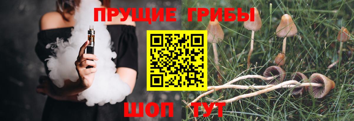 Псилоцибиновые грибы ЛСД  Вход с VPN  Лесной 